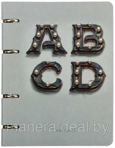 Тетрадь общая А5, 120 л. на кольцах Канц-Эксмо, 160×210 мм, клетка, Буквы - фото 1 - id-p137286633