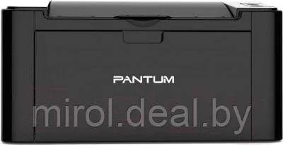 Принтер Pantum P2207 - фото 2 - id-p189675445
