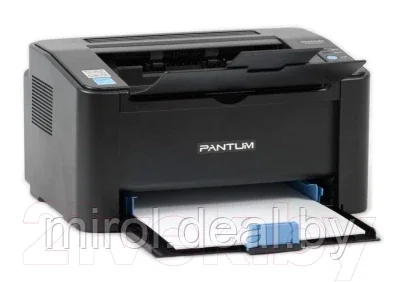 Принтер Pantum P2207 - фото 3 - id-p189675445