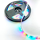 Лента Светодиодная + Пульт | RGB | LED, фото 6