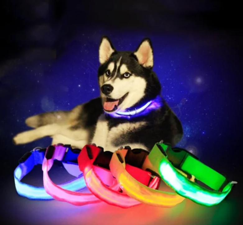 Светящийся ошейник для собак (3 режима) Glowing Dog Collar - фото 2 - id-p189701612