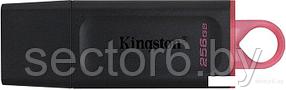 USB Flash Kingston Exodia 256GB