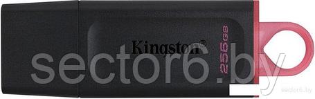 USB Flash Kingston Exodia 256GB, фото 2