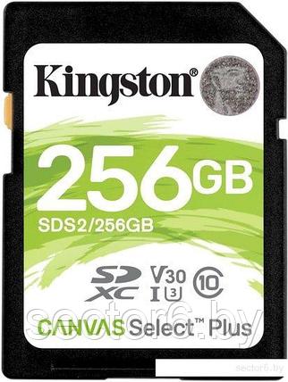 Карта памяти Kingston Canvas Select Plus SDXC 256GB, фото 2