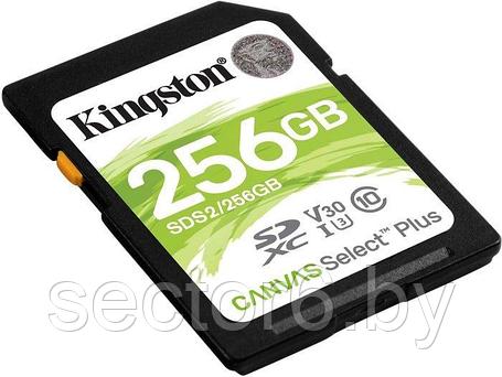 Карта памяти Kingston Canvas Select Plus SDXC 256GB, фото 2