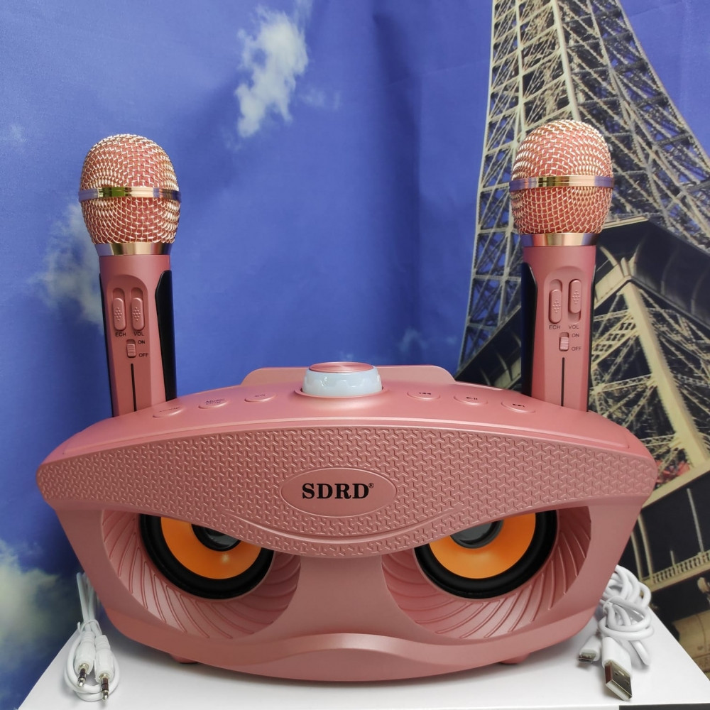 Беспроводная семейная Караоке система SDRD SD-306 с двумя микрофонами в комплекте Розовый - фото 5 - id-p179625431
