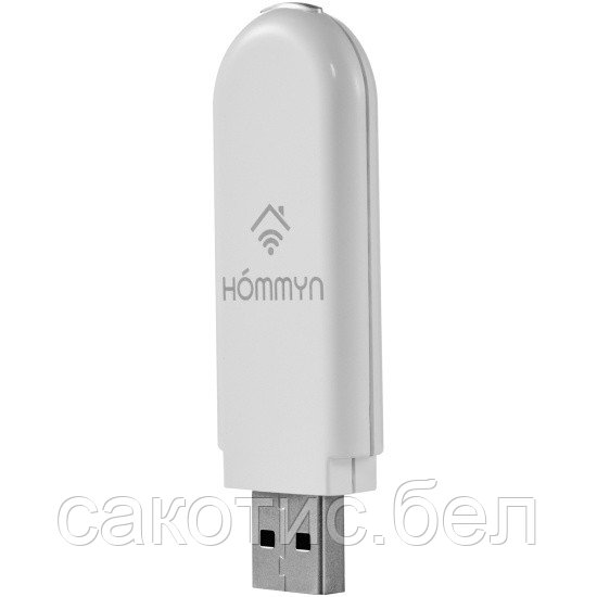 Модуль съемный управляющий HOMMYN HDN/WFN-02-01 Wi-Fi - фото 1 - id-p189806876
