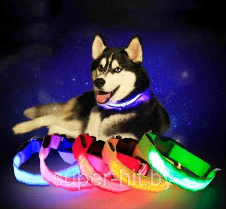 Светящийся ошейник для собак (3 режима) Glowing Dog Collar - фото 2 - id-p189792248