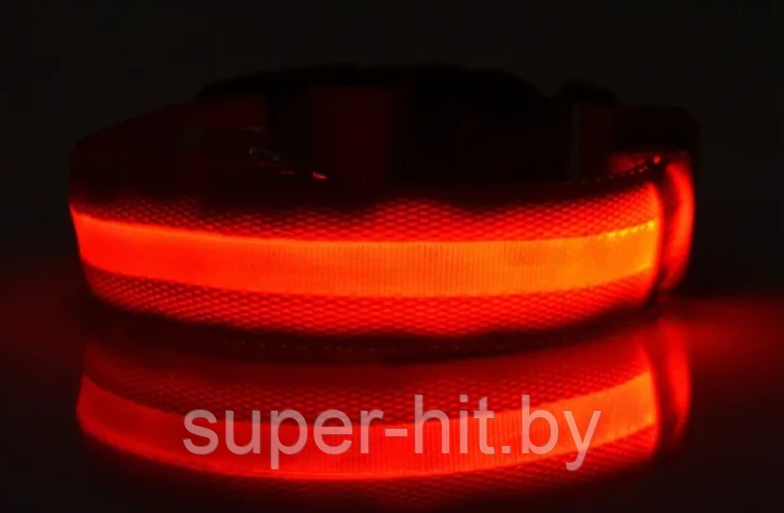 Светящийся ошейник для собак (3 режима) Glowing Dog Collar - фото 3 - id-p189792248