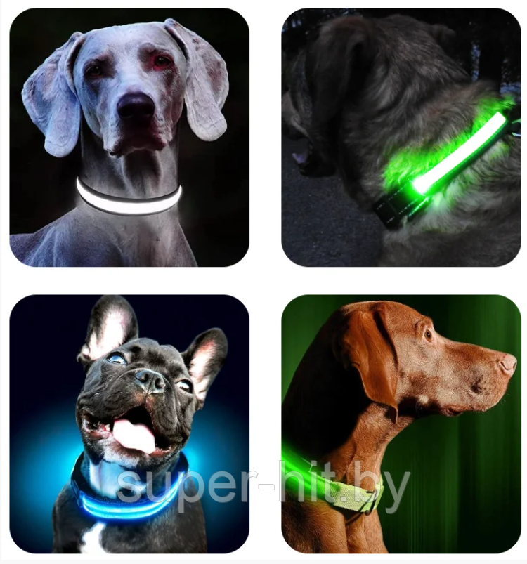 Светящийся ошейник для собак (3 режима) Glowing Dog Collar - фото 9 - id-p189792248