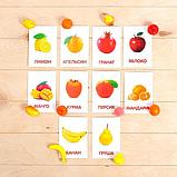 Фрукты - обучающий набор по методике Домана, фото 2
