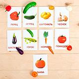 Овощи - обучающий набор по методике Домана, фото 2