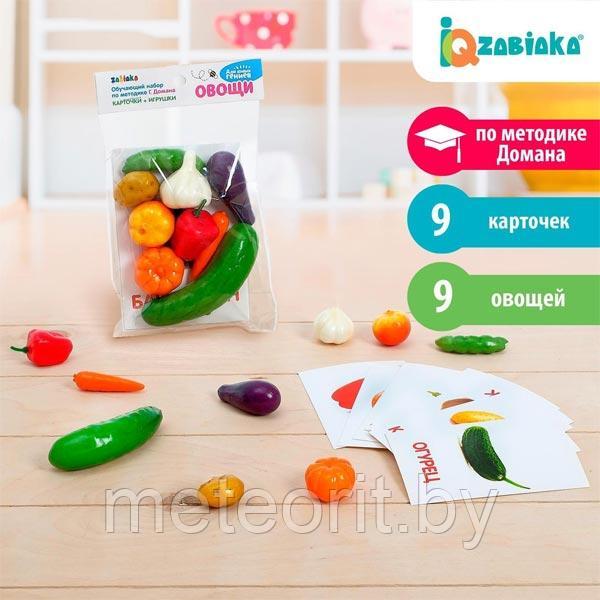 Овощи - обучающий набор по методике Домана