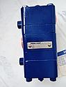 Делитель потока VIKING PUMP GD05EE00GV, фото 4