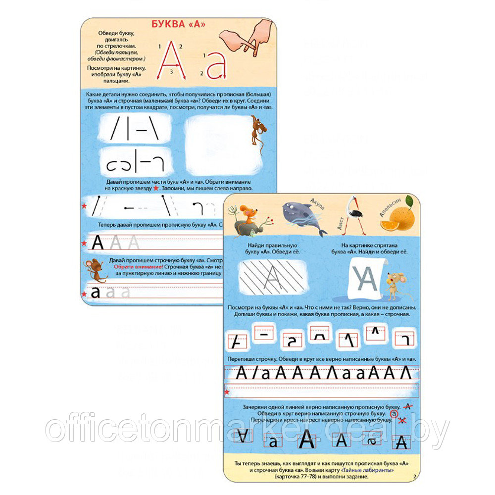 Карточки развивающие "Асборн - карточки. Изучаем буквы с нейропсихологом 4+" - фото 2 - id-p189861443