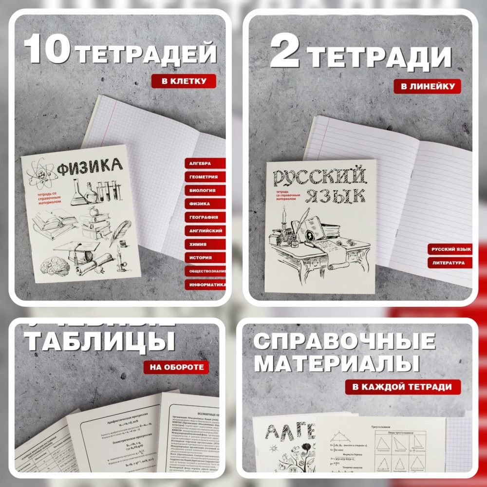 Комплект предметных тетрадей 12 шт. со справочными материалами, 48 л. (алгебра, геометрия, биология, физика, - фото 2 - id-p189874162