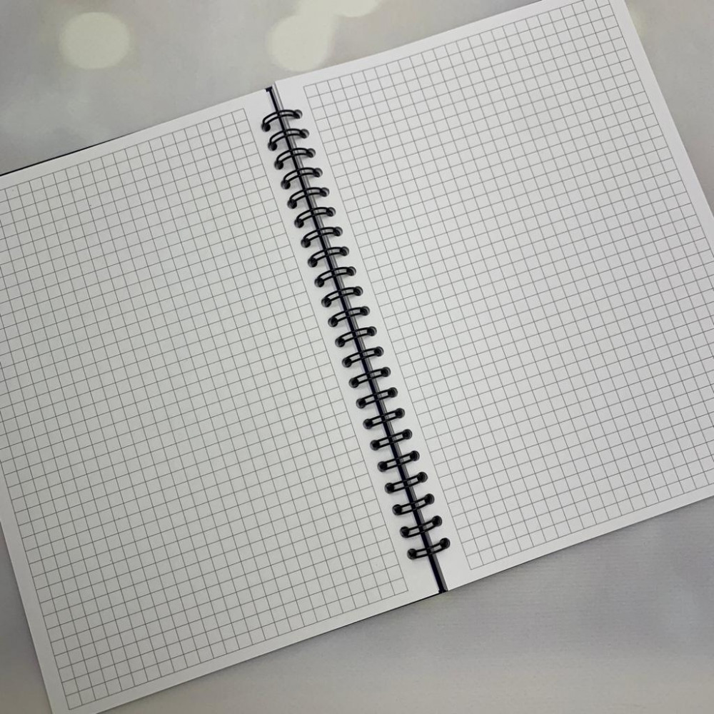 Скетчбук блокнот Sketchbook с плотными листами для рисования (А5, бумага в клетку, спираль, 40 листов) Чёрная - фото 7 - id-p189874619