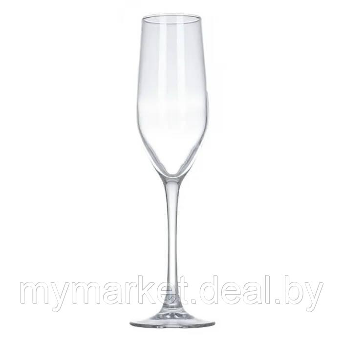 Набор бокалов для шампанского 6 шт. 160 мл Luminarc Celeste L5829 - фото 2 - id-p189886309