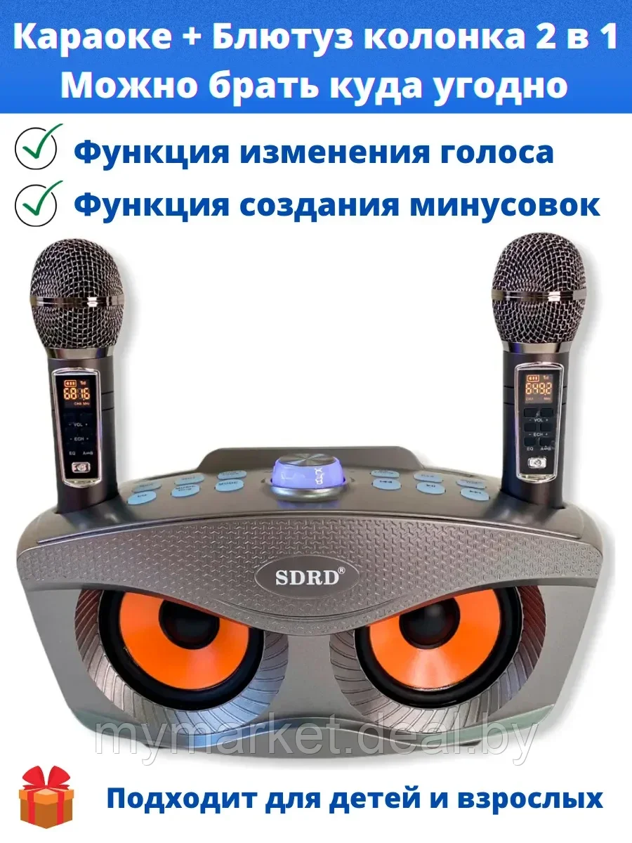 Семейная премиальная караоке система на два микрофона SDRD SD-306 PLUS - фото 4 - id-p189886832