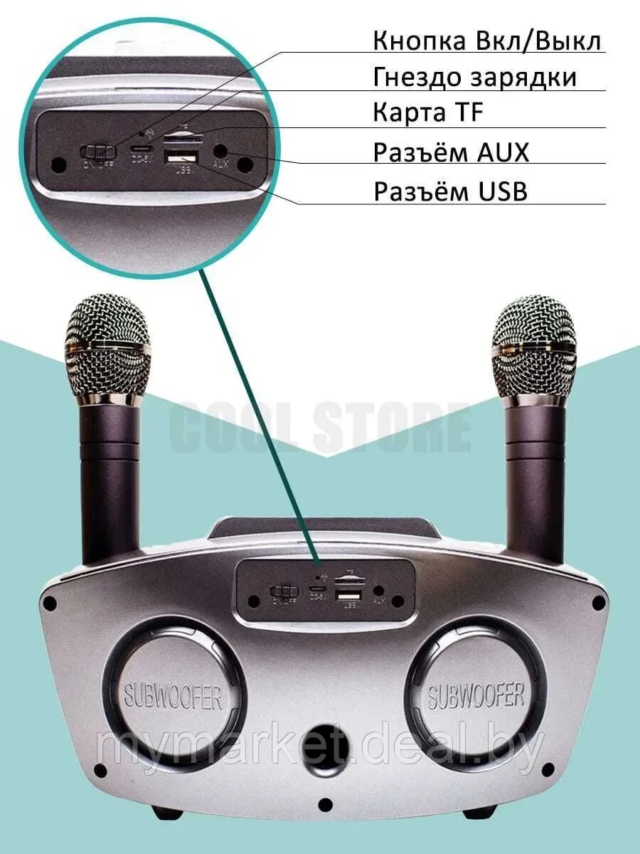 Семейная премиальная караоке система на два микрофона SDRD SD-306 PLUS - фото 10 - id-p189886832