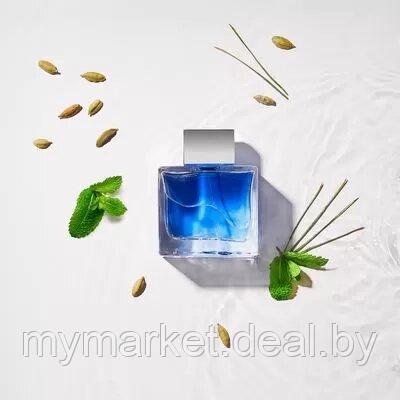 Мужская туалетная вода Antonio Banderas Blue Seduction 50ml (ORIGINAL) - фото 4 - id-p189885206