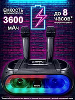 Портативная Bluetooth колонка караоке ZQS 4247