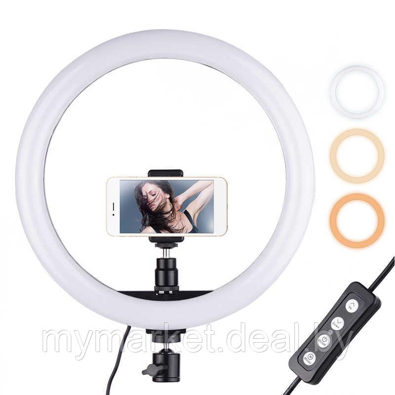 26см ЛАМПА +ШТАТИВ 220см +Пульт +Держатель телефона | LED Ring Fill Light Кольцевая - фото 4 - id-p189885267