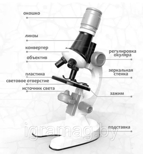 Микроскоп детский с аксессуарами кратность 100/400/1200 подсветка - фото 3 - id-p189927588