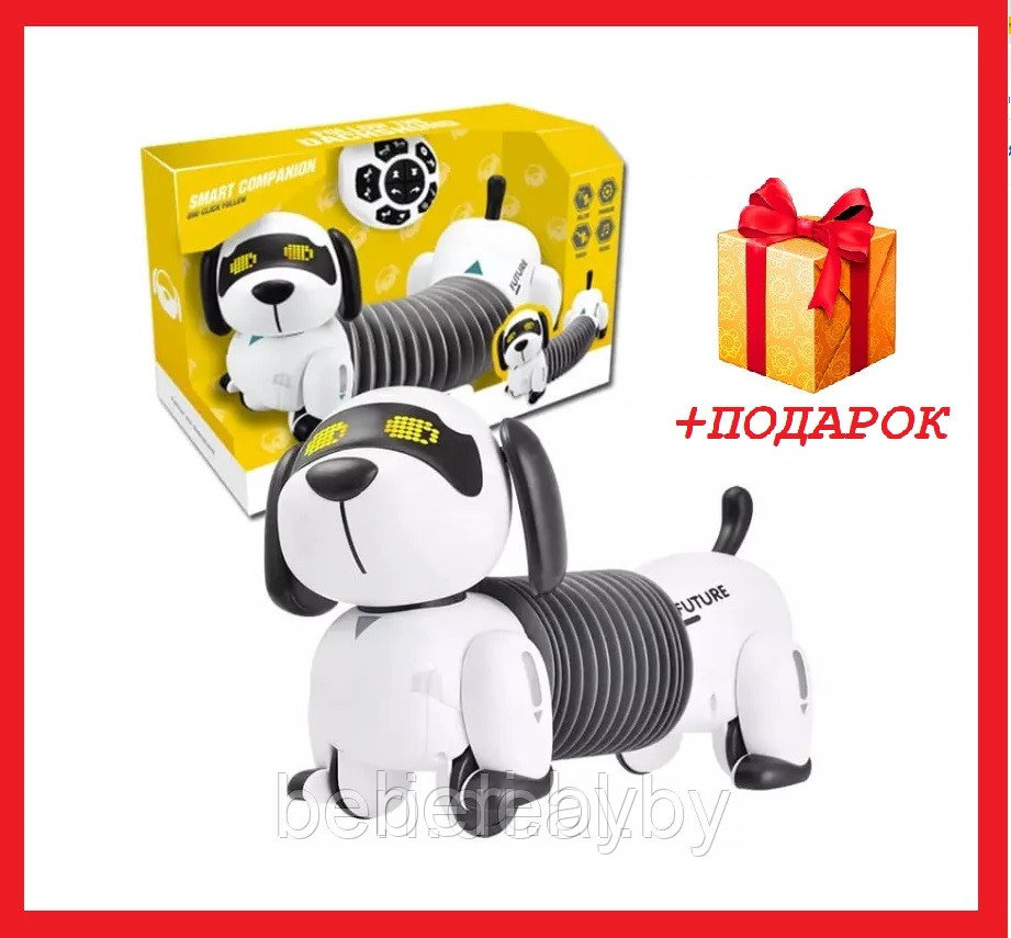 K22 Интерактивная робот-собака Такса, (Смарт пес), Robot Dog, свет/звук, поёт песенки, Zhorya
