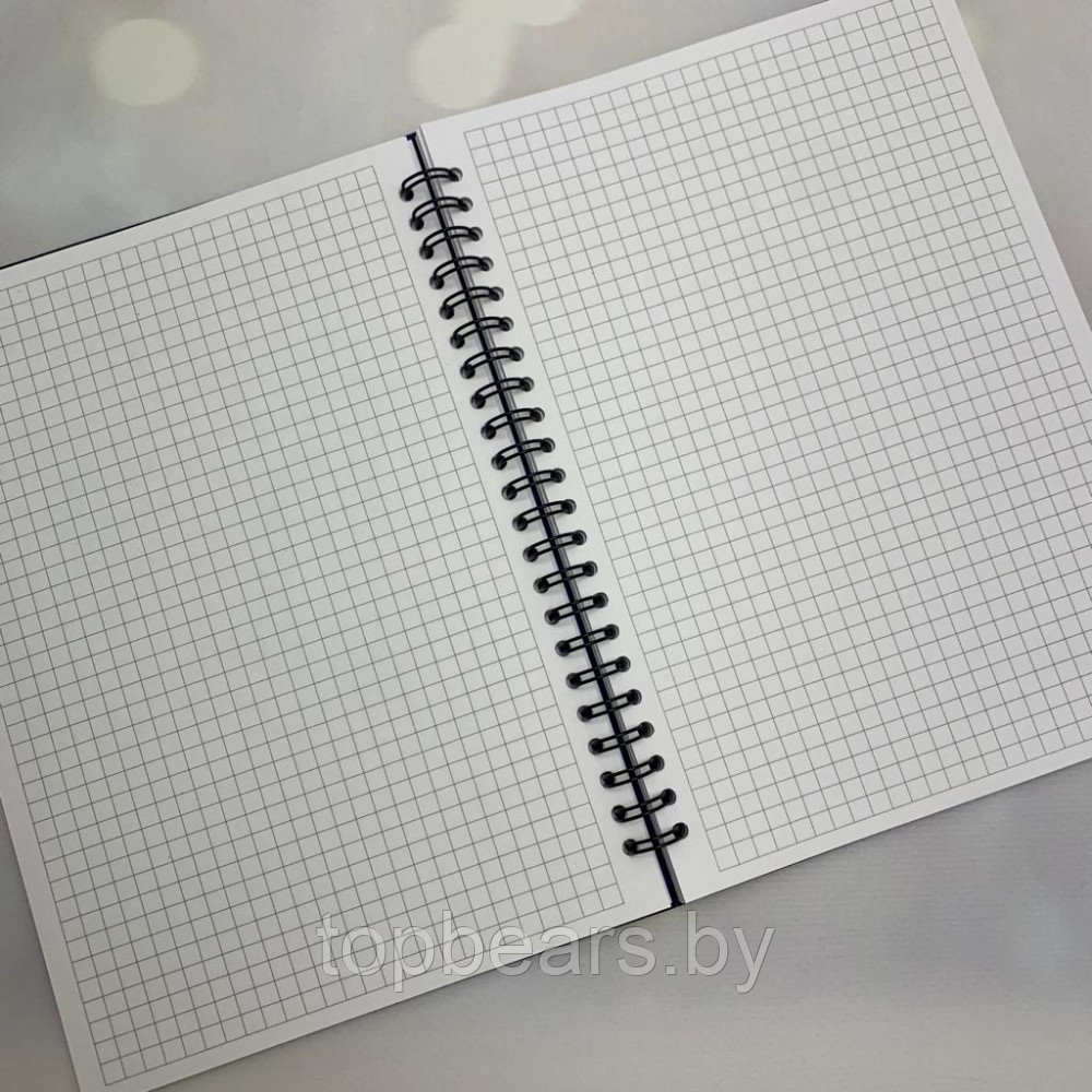 Скетчбук блокнот Sketchbook с плотными листами для рисования (А5, бумага в клетку, спираль, 40 листов) Красная - фото 7 - id-p189967457
