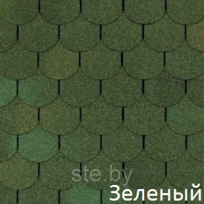 Шинглас ТАНГО бобровый хвост (зеленый) 5В4Х21-5220RUS - фото 1 - id-p189979317