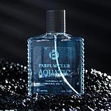 Туалетная вода мужская Parfum Club Aquatic, 100 мл, фото 2