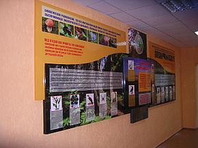 Информационный стенд "Лесной календарь", фото 2