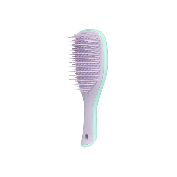 Расческа Tangle Teezer The Wet Detangler Mini Wisteria Leaf салатовый/сиреневый цвет