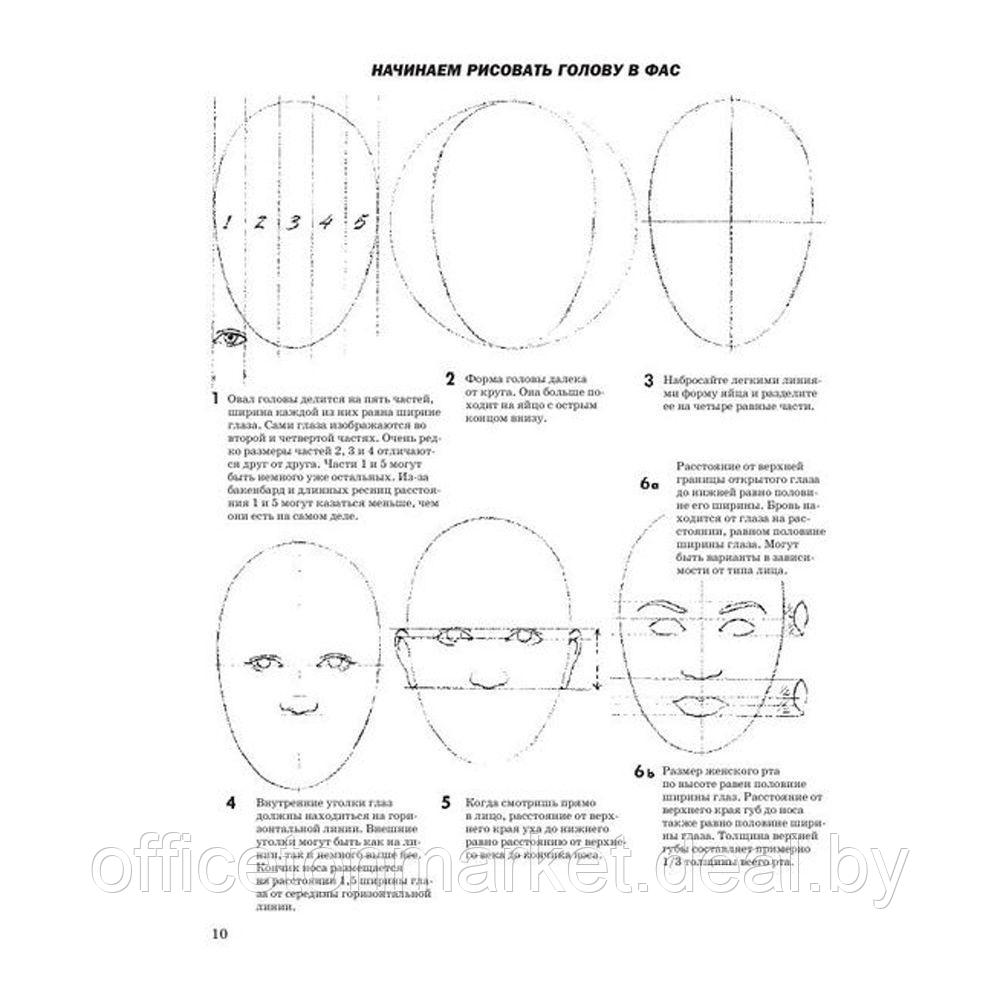 Книга "Как рисовать голову и фигуру человека", Джек Хамм - фото 8 - id-p190007133