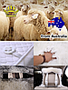 Меховые накидки для автомобиля / авточехлы на сиденья / чехлы из натуральной овечьей шерсти / 1шт, фото 4