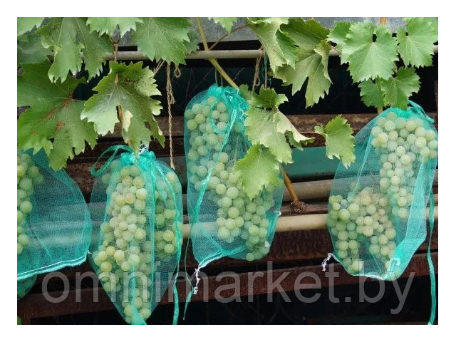 Сетка для защиты гроздей винограда от птиц и ос, 10 шт, 50 см, ИНТЕРЛОК - фото 1 - id-p190048280
