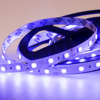 LED лента 5м открытая, 10 мм, IP23, SMD 5050, 60 LED/m, 12 V, цвет свечения синий LAMPER
