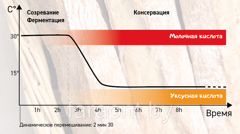 Аппарат для ферментации (ферментатор для закваски) JAC TRADILEVAIN TL40 - фото 4 - id-p125020974