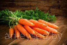 Нестандарт мытой моркови (лом) - фото 1 - id-p70835859