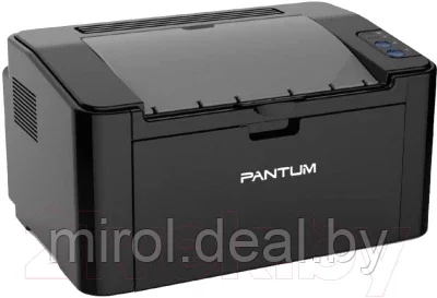 Принтер Pantum P2507 - фото 2 - id-p190295987