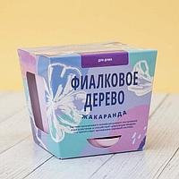 Набор для выращивания растений «Фиалковое дерево»