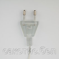 Гирлянда светодиодная «Шишки» 5 м, 30 LED, прозрачный ПВХ с контроллером, цвет свечения теплый белый, фото 3