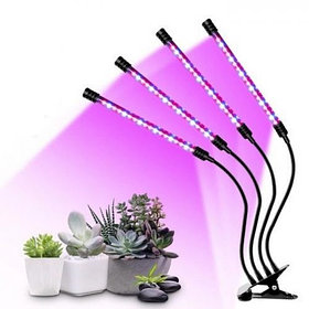 Фитолампа на 4 рожка для растений Plant Grow Light