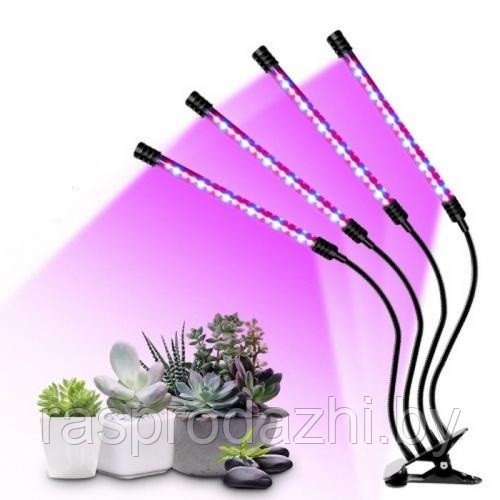 Фитолампа на 4 рожка для растений Plant Grow Light - фото 1 - id-p190381700