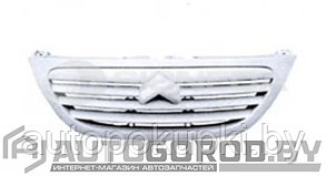 Решетка радиатора CITROEN C3 2002-2005, PCT07022GA(I)