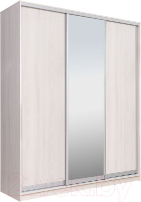 Шкаф Рэйгрупп 233 YYX Elgon РГ-01.02
