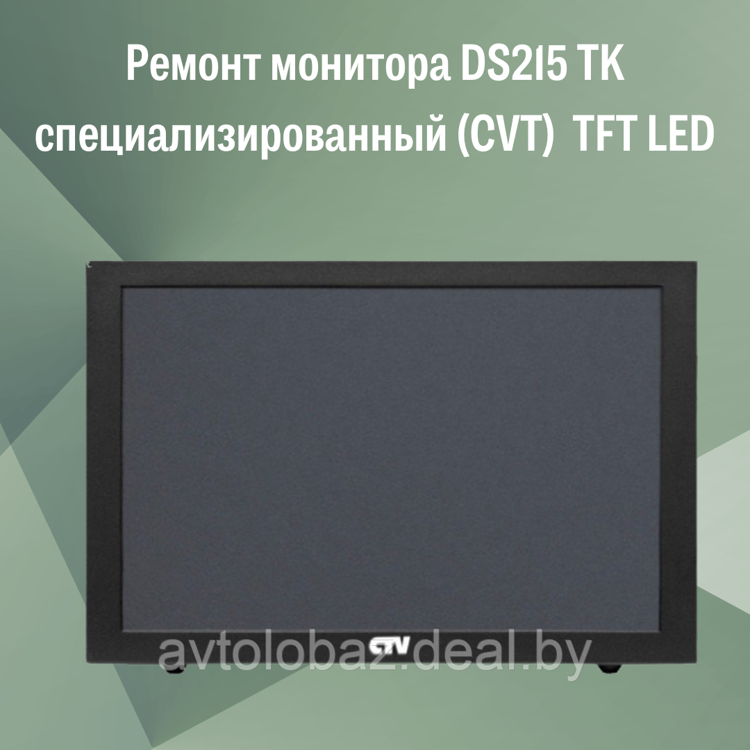 Ремонт монитора DS215 TK специализированный (CVT)  TFT LED