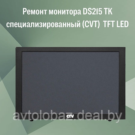 Ремонт монитора DS215 TK специализированный (CVT)  TFT LED, фото 2