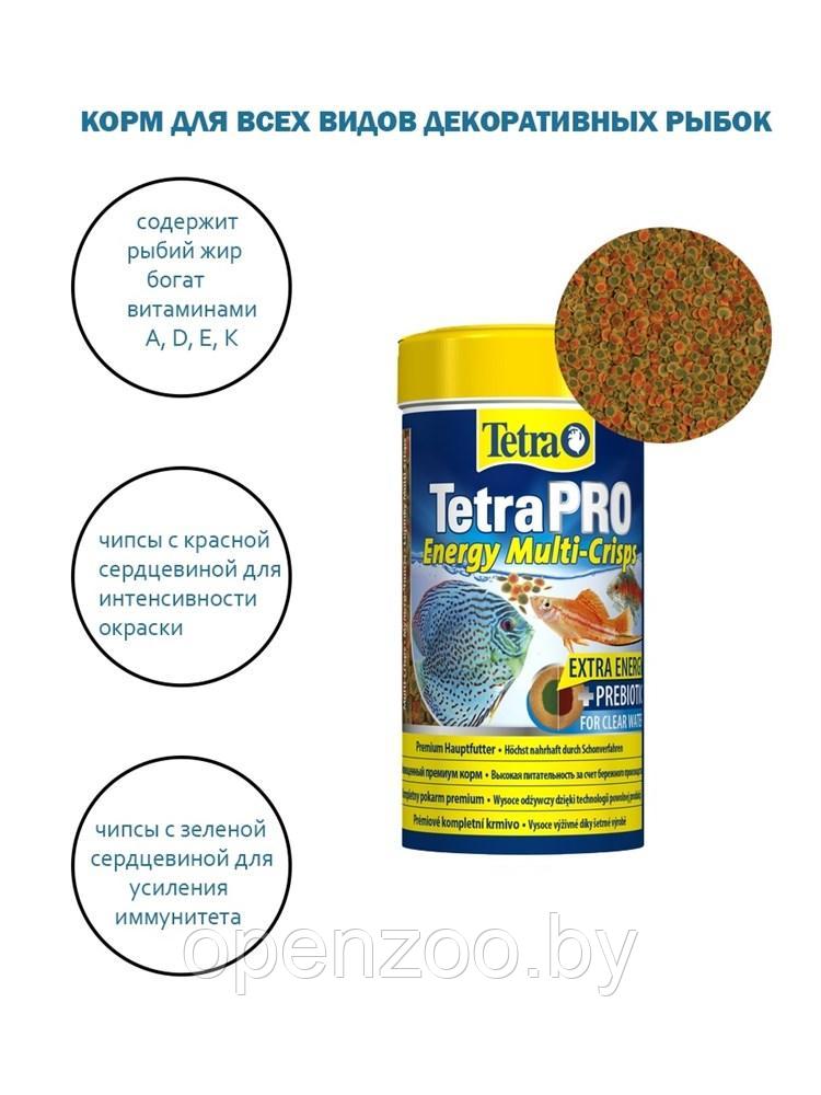 Tetra TetraPro Energy 500 мл. - Высококачественный корм в виде чипсов д/всех видов декоративных рыб - фото 3 - id-p190643193